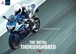 2012 Suzuki GSX-R1000