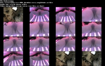 6d1f57167789238.jpg