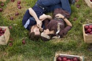 imagebam.com