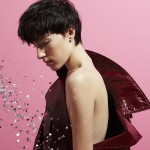imagebam.com